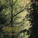 Dammerfarben - Herbstpfad